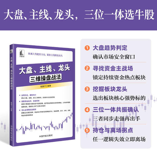 大盘.主线.龙头三维操盘战法 商品图0