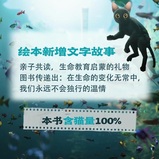 猫猫的奇幻漂流 商品图2