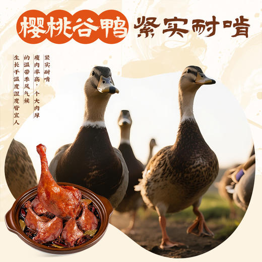 【百草味】老卤鸭腿（卤香味）100g-新 商品图2