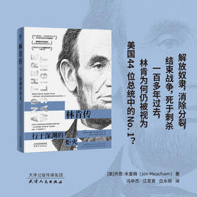 林肯传:行于深渊的炬火
