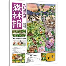 动物盖新房