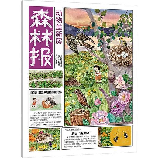 动物盖新房 商品图0