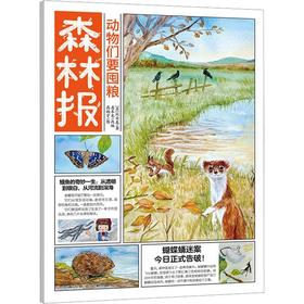 动物们要囤粮