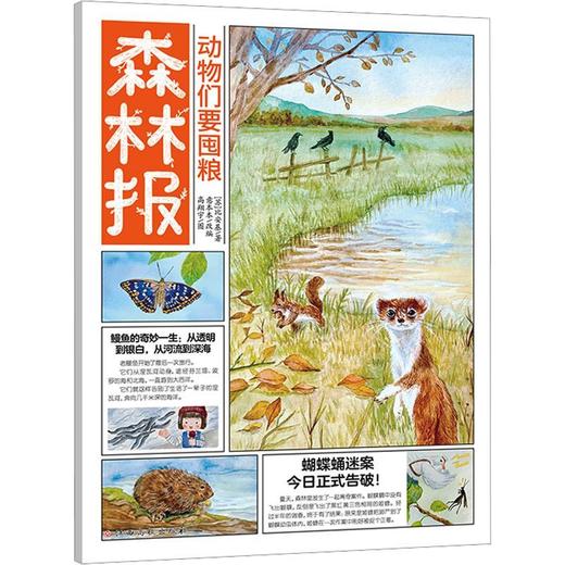 动物们要囤粮 商品图0