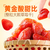 【百草味】草莓干 100g 商品缩略图1