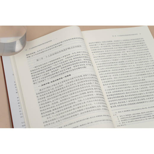 个人信息刑法双维保护模式的基本构造  童云峰 著 法律出版社 商品图4