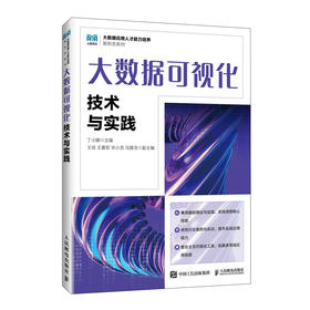 大数据可视化技术与实践