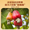 【百草味】炭烧腰果405g罐装 商品缩略图3