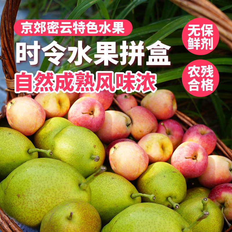 【送礼必备】时令水果礼盒 应季新鲜自然熟海棠果红香酥梨精品水果礼盒   节日礼盒 可支持企业定制