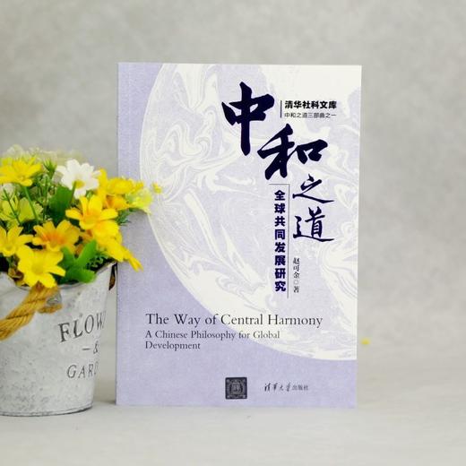 中和之道:全球共同发展研究 商品图3