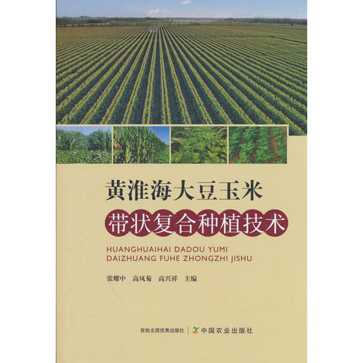 黄淮海大豆玉米带状复合种植技术 商品图0