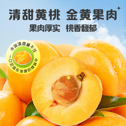 【百草味】黄桃干 100g 商品图3