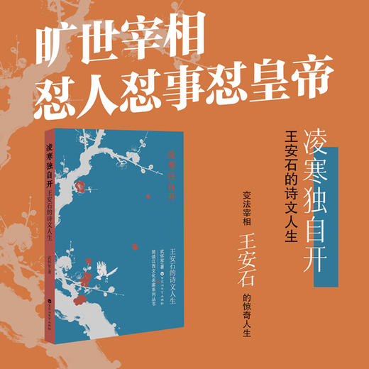 凌寒独自开:王安石的诗文人生 商品图0
