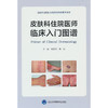 皮肤科住院医师临床入门图谱 商品缩略图0