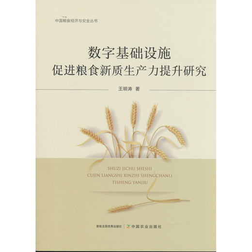数字基础设施促进粮食新质生产力提升研究 商品图0