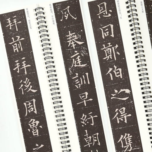 欧阳通泉男生墓志(全2册) 商品图2