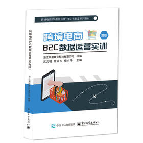 跨境电商B2C数据运营实训:高级