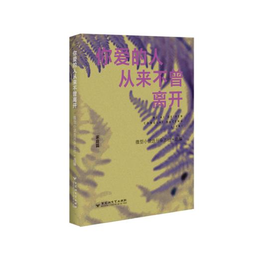 你爱的人从来不曾离开 商品图0