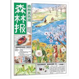 森林真热闹