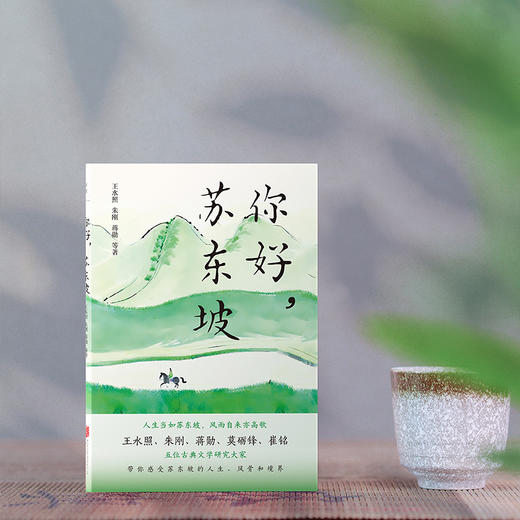 你好,苏东坡 商品图4