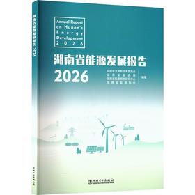湖南省能源发展报告.2026
