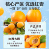 【百草味】红杏干 300g 商品缩略图1