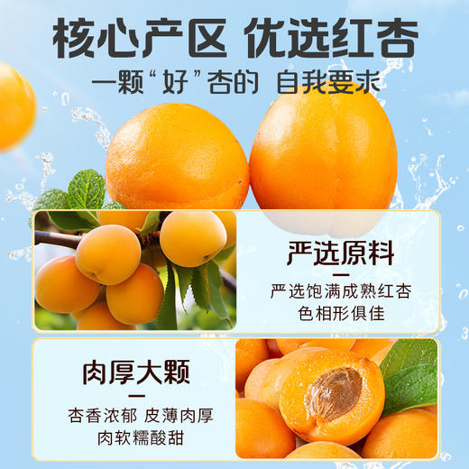 【百草味】红杏干 300g 商品图1