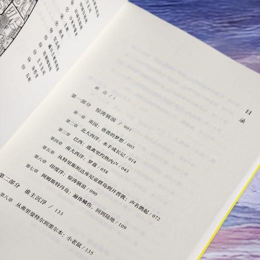 她踏浪而来,向自由 商品图3