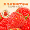 【百草味】草莓干 50g 商品缩略图5