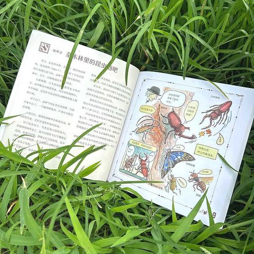 法布尔老师的昆虫教室(平装版)(全3册) 商品图4