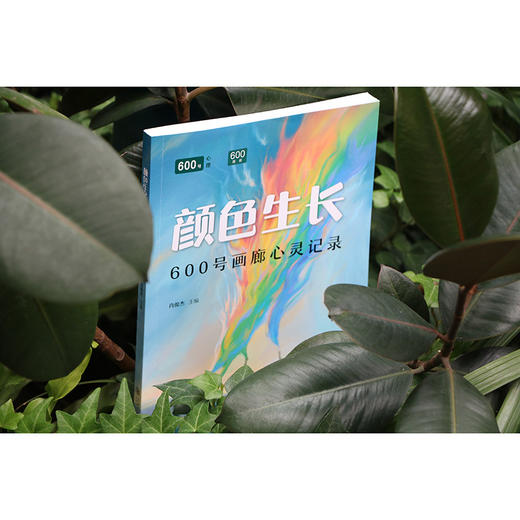 颜色生长:600号画廊心灵记录 商品图4