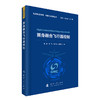 翼身融合飞行器控制 商品缩略图1