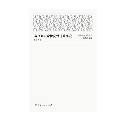 当代知识论探究性进路研究 商品图1