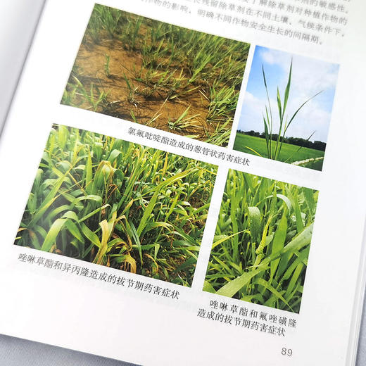 图解农药科学使用100问(第2版) 商品图4