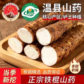 2026年新鲜【京东快递】焦作温县垆土地铁棍山药