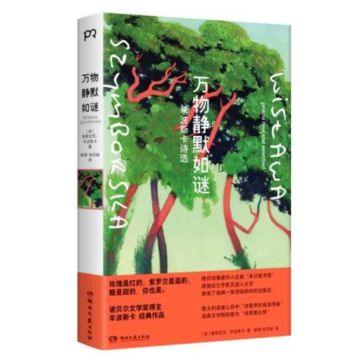 万物静默如谜 商品图4