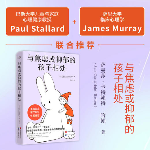 与焦虑或抑郁的孩子相处 商品图3