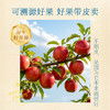 【百草味】一口苹果脆135g 商品缩略图3