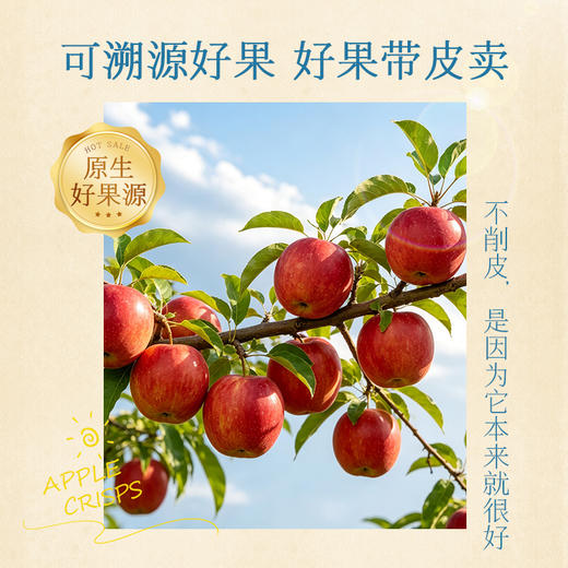 【百草味】一口苹果脆135g 商品图3