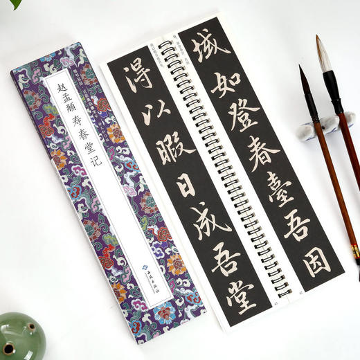 赵孟頫寿春堂记 商品图3