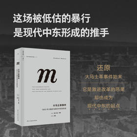 大马士革事件：1860年大屠杀与现代中东的形成 （理想国译丛079）