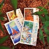 我长大的地方叫中国.金色的云母 商品缩略图3