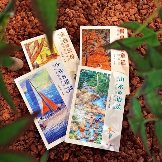 我长大的地方叫中国.金色的云母 商品图3