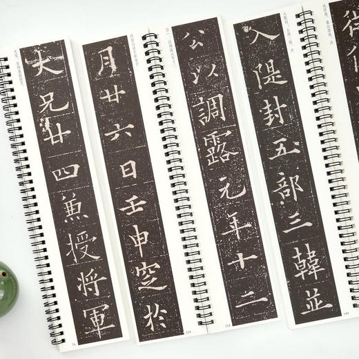 欧阳通泉男生墓志(全2册) 商品图1
