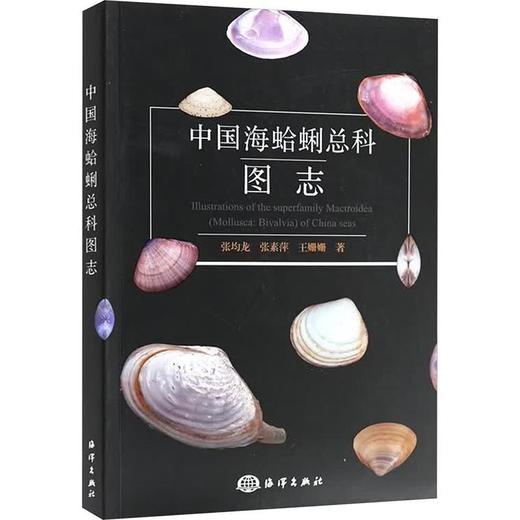 中国海蛤蜊总科图志 商品图0