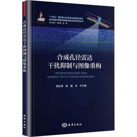 合成孔径雷达干扰抑制与图像重构