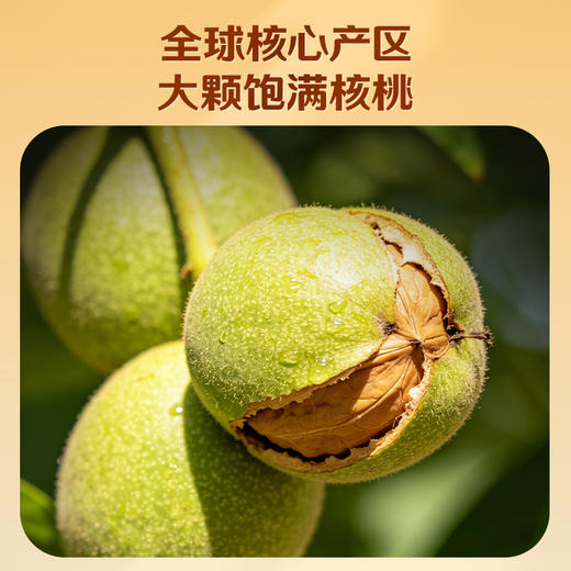 【百草味】蜂蜜琥珀核桃仁33g（袋装） 商品图3