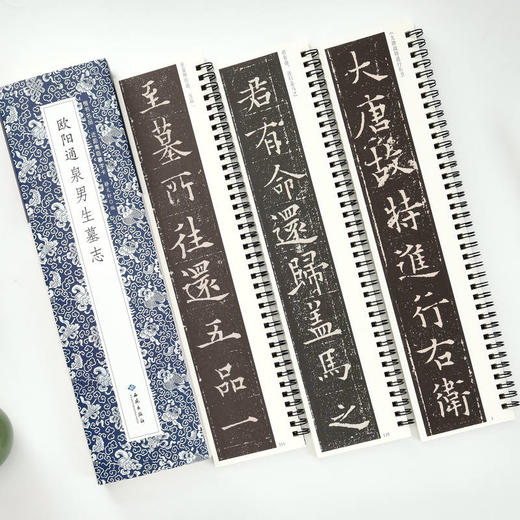 欧阳通泉男生墓志(全2册) 商品图4