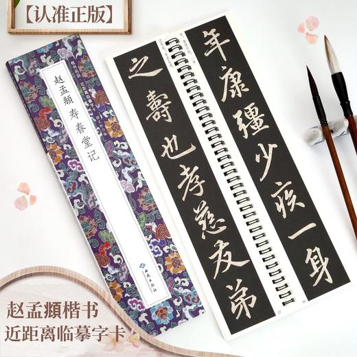 赵孟頫寿春堂记 商品图0