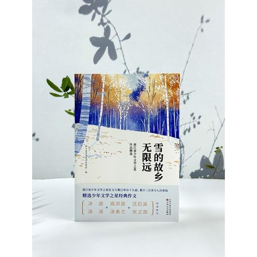 雪的故乡无限远:浙江省少年文学之星作品精选 商品图1